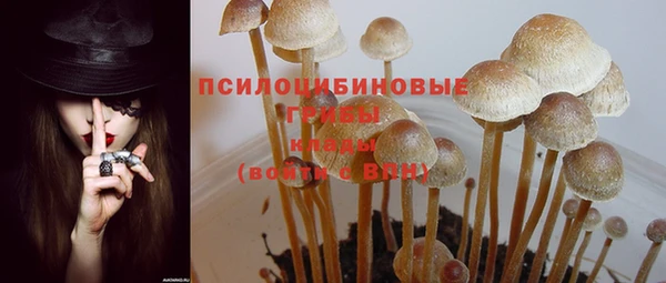 наркотики Алексеевка