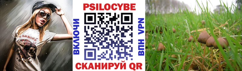 Галлюциногенные грибы Psilocybine cubensis  Купить где  Семёнов 